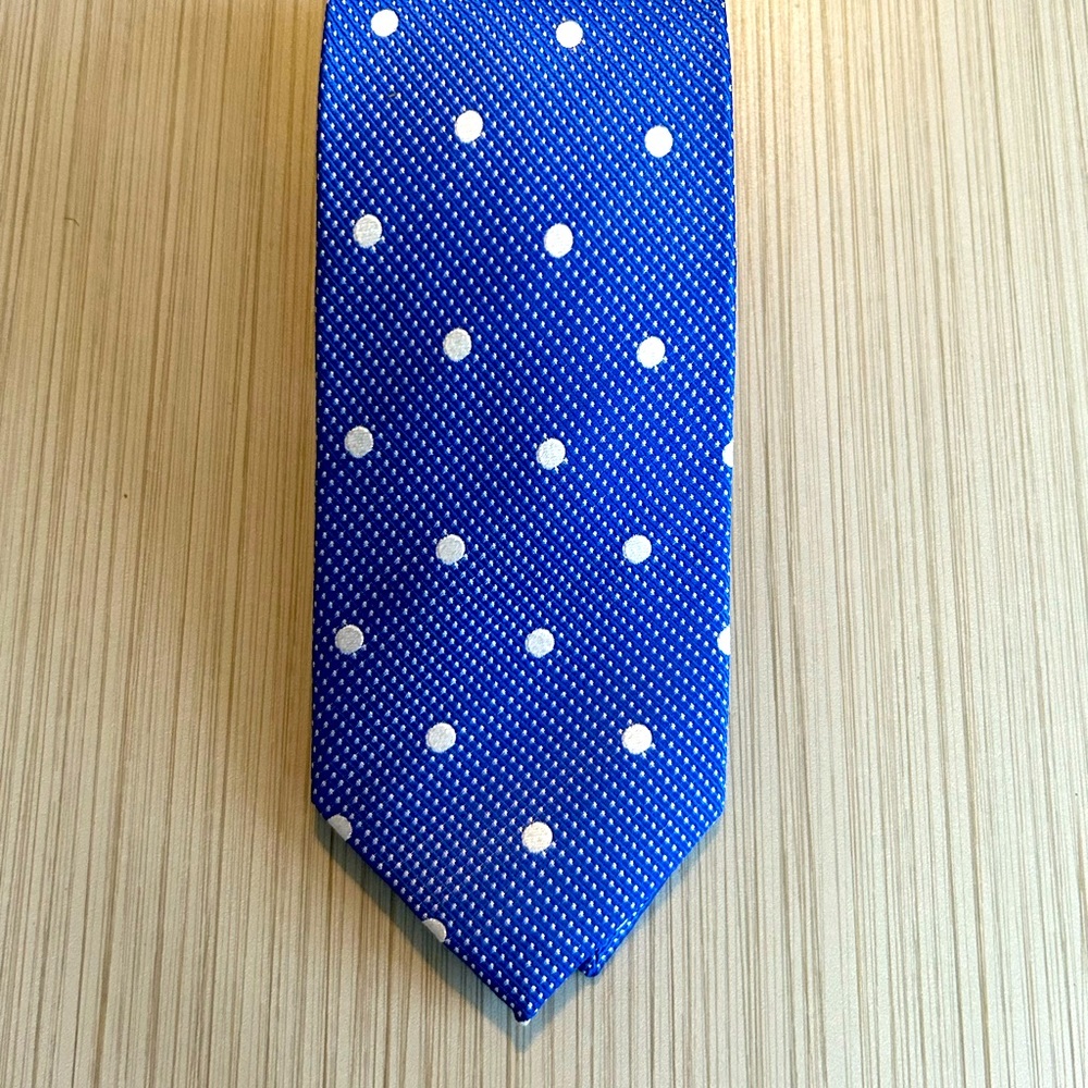 J. Benzal Blue and White Polka Dot Tie